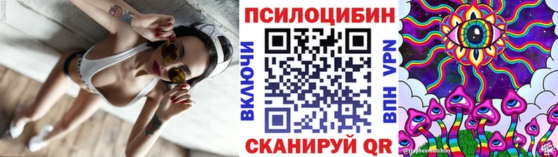 гидра рабочий сайт  где найти наркотики  Алейск  Галлюциногенные грибы мицелий 